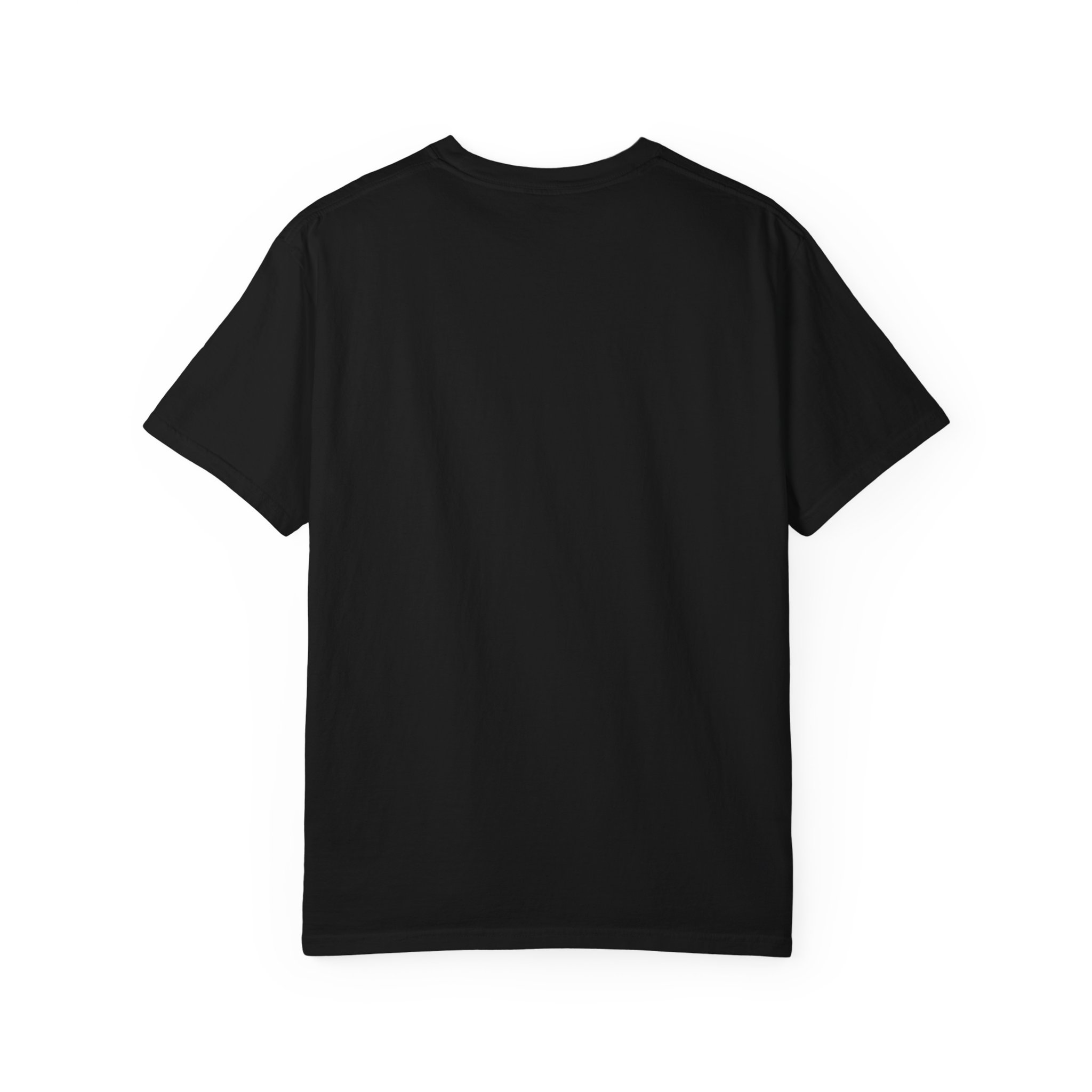 Upload - 5.2b.All You Need is Meow T-Shirt - Image 10